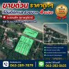 ขายด่วน ราคาถูกๆ ที่ดินติดทะเล สวยมาก 4 แปลง อ.ดอนสัก สุราษฎร์ธานี ใกล้ รร.อนุบาลดอนสัก, รพ.ดอนสัก โทร 0632897879